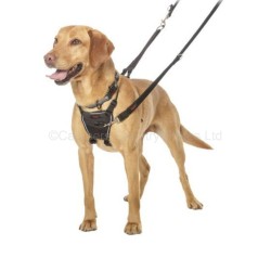 Halti No Pull Dog Harness